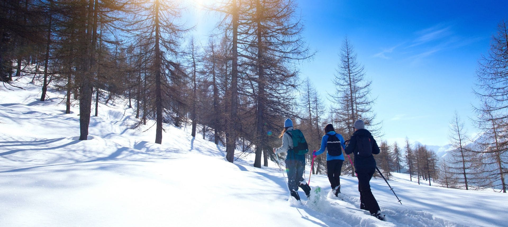 Randonneuses en raquettes sous le soleil des Alpes du Sud